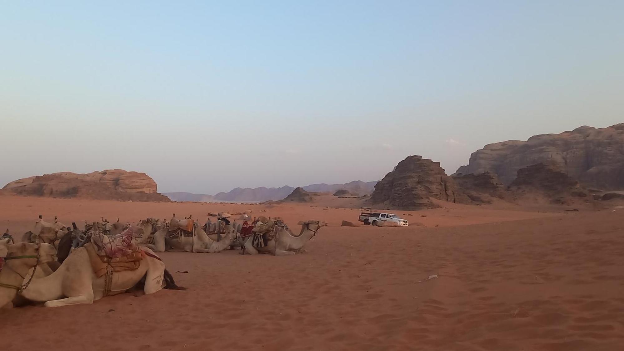 غرووب وادي رم Hotel Eksteriør billede